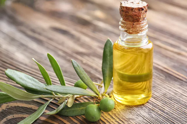 Olive Leaf