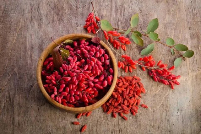 Berberine